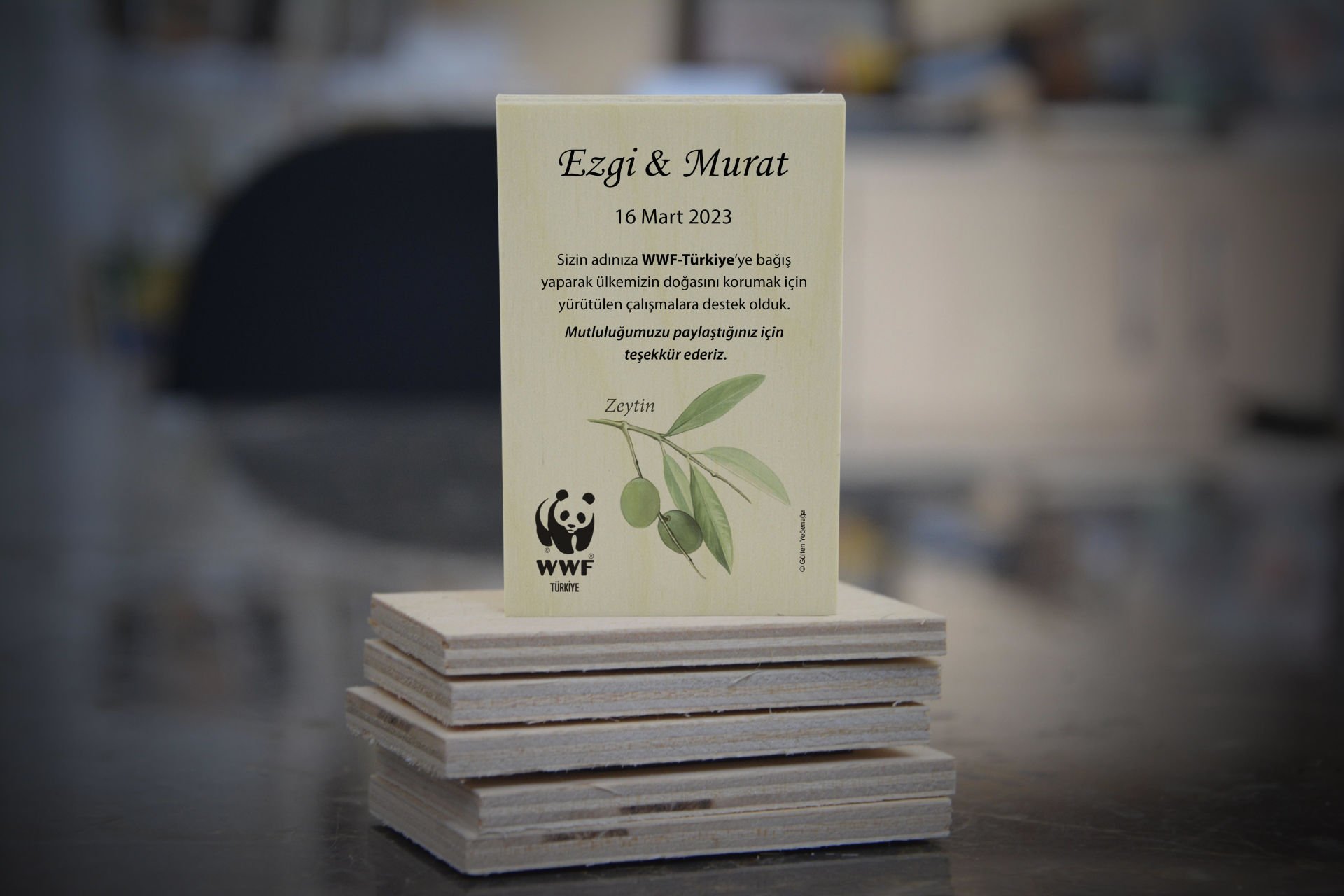 Zeytin Dalı Temalı Ahşap Magnet