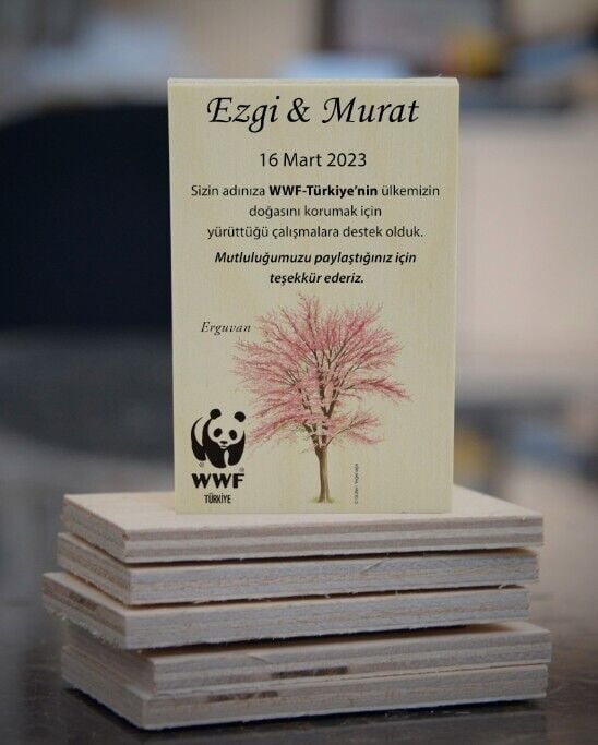 Erguvan Ağacı Temalı Ahşap Magnet