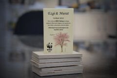 Erguvan Ağacı Temalı Ahşap Magnet