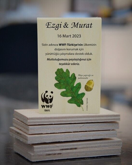 Meşe Palamudu Temalı Ahşap Magnet