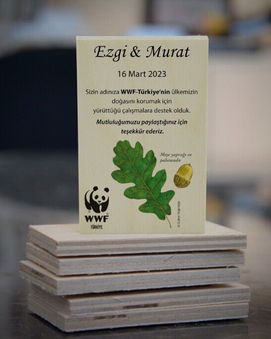 Meşe Palamudu Temalı Ahşap Magnet