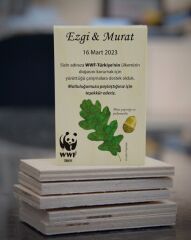 Meşe Palamudu Temalı Ahşap Magnet