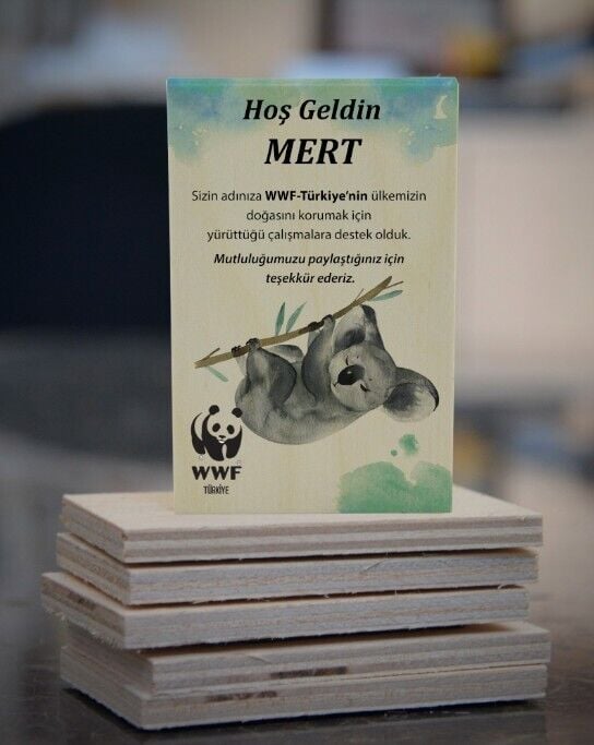 Koala Temalı Ahşap Magnet