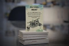 Koala Temalı Ahşap Magnet
