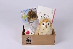 Baykuş Peluş Oyuncaklı Set