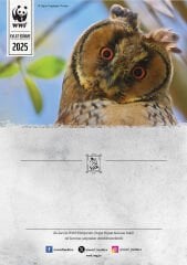 Baykuş Oyuncak Evlat Edinme Seti