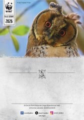 Baykuş Oyuncak Evlat Edinme Seti