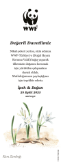 Kitap Ayracı- Kum Zambağı