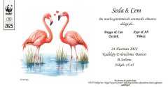 Davetiye Flamingo