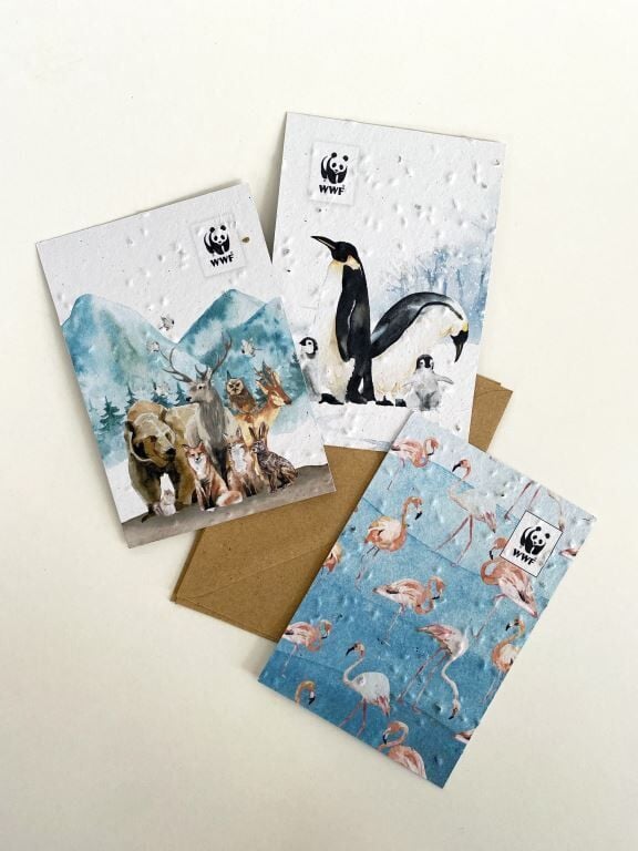 Tohumlu Ekilebilir Kağıttan Kartpostal