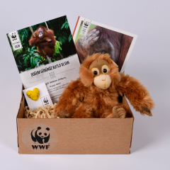 Orangutan Oyuncak Evlat Edinme Seti