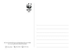 23 Nisan Temalı Destek Kartı