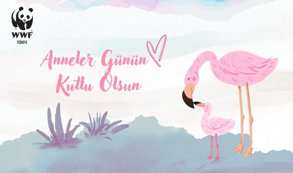 Anneler Günü Temalı Destek Kartı