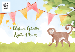 Doğum Günü Temalı Destek Kartı 1