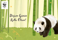 Doğum Günü Temalı Destek Kartı 2