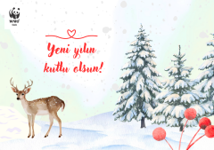 Yeni Yıl Temalı Destek Kartı