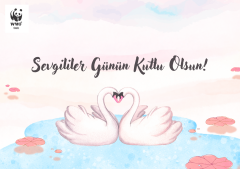 Sevgililer Günü Temalı Destek Kartı