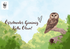 Öğretmenler Günü Temalı Destek Kartı
