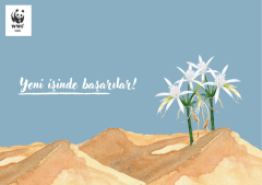 İş Tebriği Temalı Destek Kartı