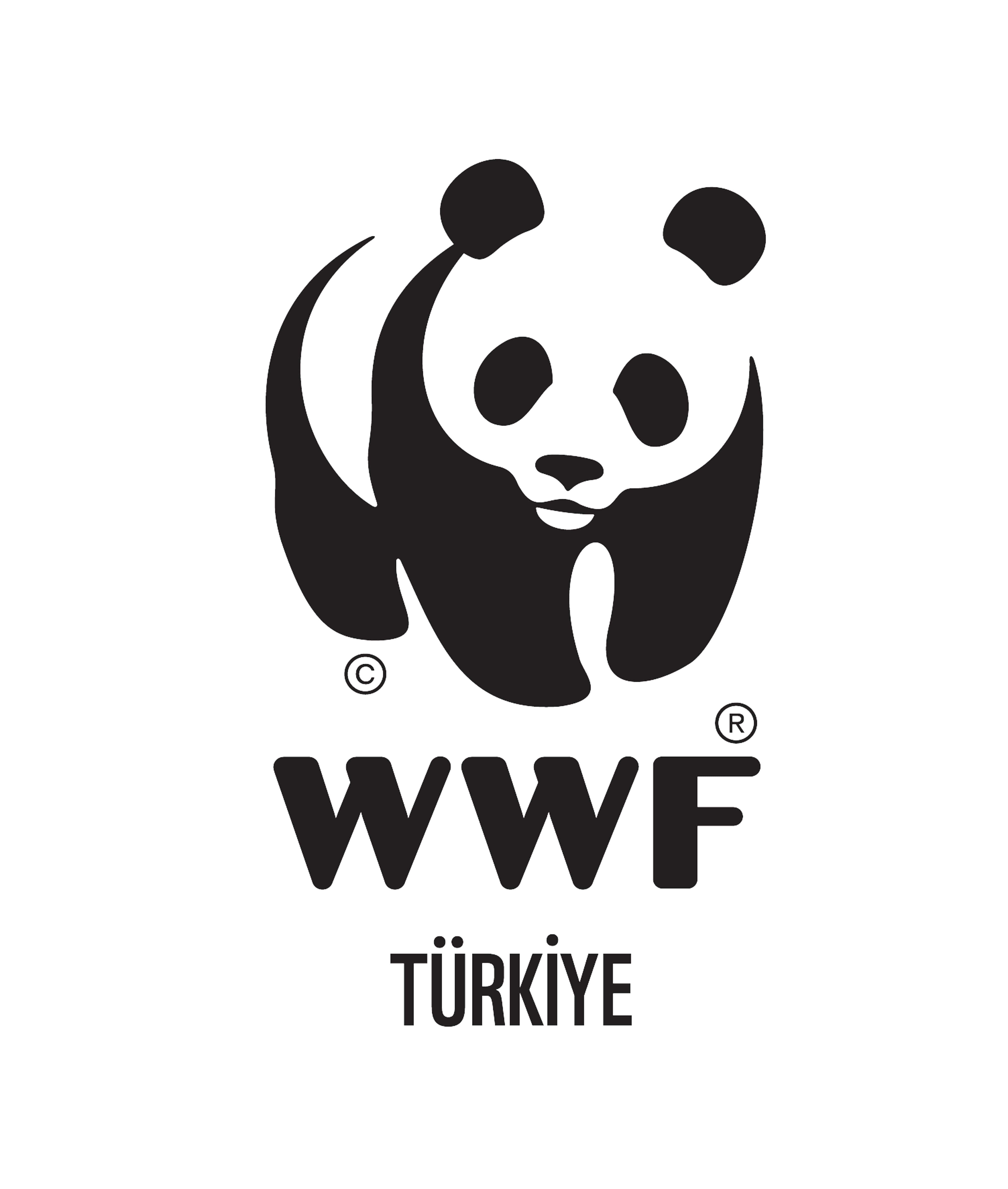 Baykuş Evlat Edinme